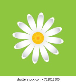 The chamomile flower. Single flower white daisies made of simple geometric shapes on a green background, icon, vector