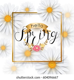 Chamomile flower spring background with gold frame, vector illustration.