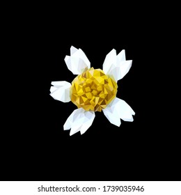 chamomile flower top view stylized from triangles colored