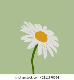chamomile flower vector with background makes anyone who sees it feel comfortable