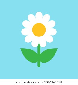Chamomile flower vector icon in flat style. Daisy illustration on blue isolated background. Camomile sign concept.