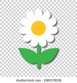 Chamomile flower vector icon in flat style. Daisy illustration on isolated transparent background. Camomile sign concept.