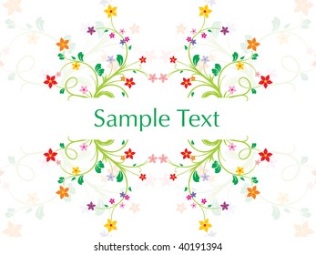 chamomile flower, vector illustration