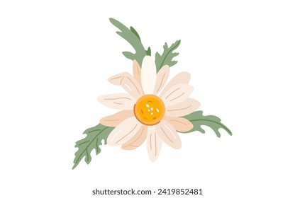 Chamomile flower vector illustration. Spring daisy graphic design. Blossom decoration. Top view.