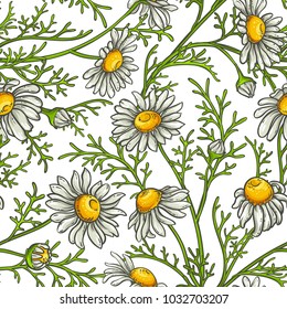 chamomile flower vector pattern