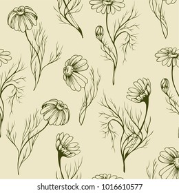 Chamomile flower vector seamlees pattern hand drawn herbal texture on yellow background