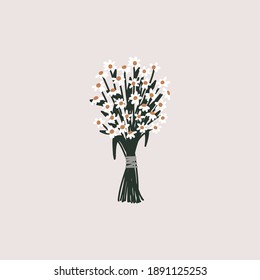Chamomile Flower or White Daisy Daisy with Leaves Bouquet Spring and Summer Vector Elements Illustration.