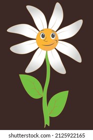 Chamomile flower white. Flower with face on a dark red background.