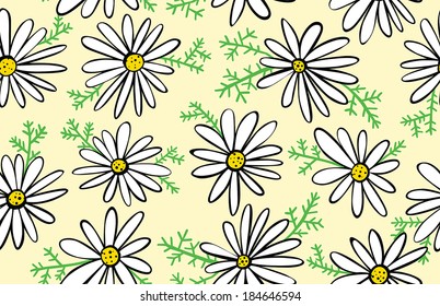 Chamomile Flowers Background