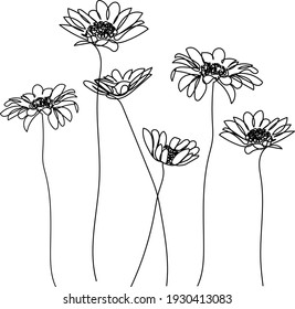 Chamomile flowers background. One line drawing. Minimalist line art.