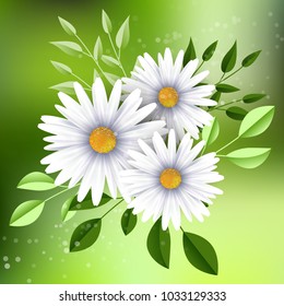 Chamomile flowers background, vector illustration. Blurred green background, realistic cute white daisies and leafs with space for text. Template for banners, greeting cards, graphic design.