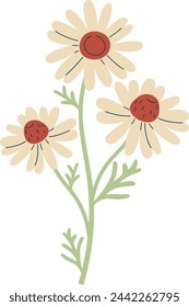 Chamomile Flowers Branch Vector Illustration