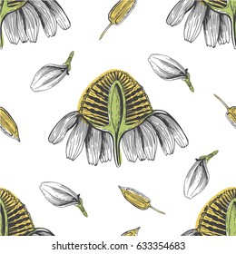 chamomile flowers bud botanic line art pattern