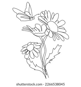 Chamomile flowers and butterflies one line art. Flowers one line vector art. Botanical print.