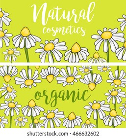 chamomile flowers concept of natural cosmetics with space for text