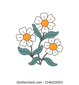 Flores de camomila o margarita. Dibujo botánico de camomila de campo silvestre en estilo de caricatura vintage. Planta floral con brotes florales. Ilustración del vector aislada en fondo blanco