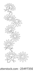 Chamomile flowers, drawn with continuous line in minimalist style, vertical border-framed by daisy, copy space, camomile, line art, editable vector contour.