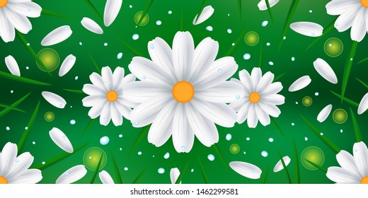Chamomile flowers in field on sunny day. Beautiful nature scene. Vector illustration