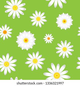 The chamomile flowers.  Floral pattern white Daisy flower on a green background, seamless texture , vector