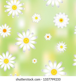 The chamomile flowers.  Floral pattern white Daisy flower on a light green abstract background, seamless texture , vector