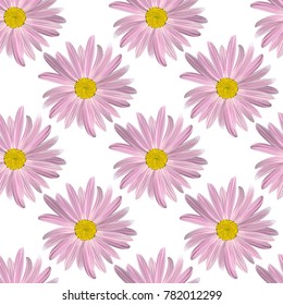 Chamomile flowers. Floral seamless texture of Daisy flower purple color on a white background,geometric pattern, vector