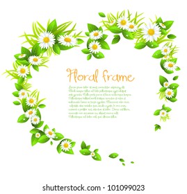  Chamomile flowers frame with space for text.