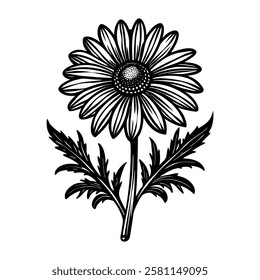 chamomile Flowers. Happy Valentine's day .