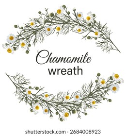  Flores de manzanilla, fondo blanco aislado, ilustración botánica, corona de manzanilla, manzanilla medicinal.