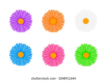 Chamomile.The flowers are multicolored. vector illustration on white background.