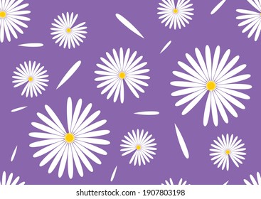 Chamomile flowers on color background