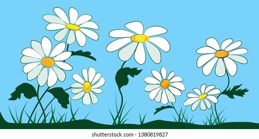 Chamomile flowers on the field with green grass. Summer background. Vector flower illustration.  