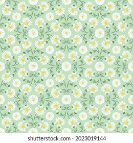 Chamomile flowers ornamental seamless pattern 