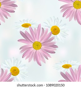 Chamomile flowers. Seamless floral texture from the group of daisies white and purple on a light blue abstract background, vector.