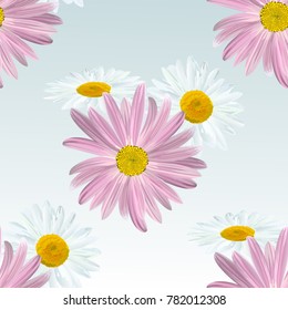 Chamomile flowers. Seamless floral texture from the group of daisies white and purple on a light blue background, vector