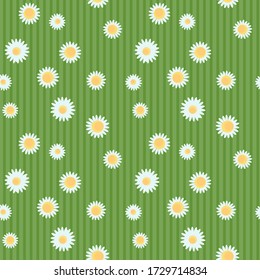Flores de camomila sin fisuras sobre un fondo rayado verde. Textura de ilustración vectorial con flores pequeñas. Diseño de superficie de verano moderno