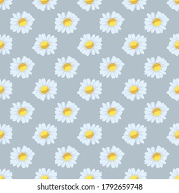 chamomile flowers seamless pattern, vector illustration. seamless pattern with daisies, vector