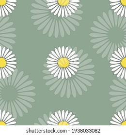 Chamomile flowers. Seamless summer pattern with white flowers on a green background for printing on fabric, paper, textiles, interior design. Vector graphics.