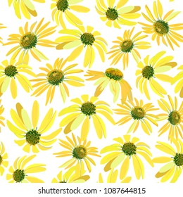Chamomile flowers. Seamless vector patern with isolated colorful plants. floral background