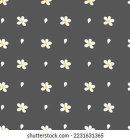 chamomile flowers seamless vector pattern