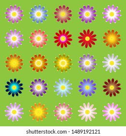 Chamomile flowers. Set of Daisy flowers of different color shades, vector illustration