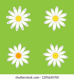 The chamomile flowers. Set single flower 
of white daisies made of simple geometric shapes on a green background, icon, vector