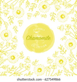 Chamomile flowers vector design background for  tea, natural cosmetics, baking, health care products, packaging, wrapping paper.