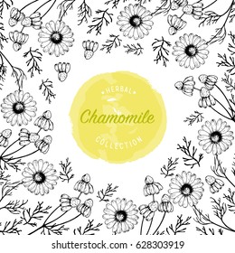 Chamomile flowers vector design background for  tea, natural cosmetics, baking, health care products, packaging, wrapping paper.