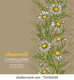 chamomile flowers vector pattern on color background