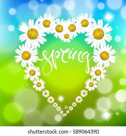 Chamomile in the form of hearts and hand drawn letters spring. Vector beautiful card, the frame