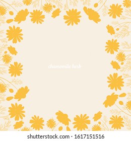 Chamomile frame isolated on white background. Vector illustration of white daisy flowers. Design for herbal tea, natural cosmetics, health care products, aromatherapy, homeopathy.