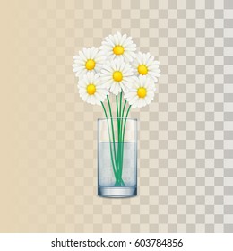 Chamomile and glass of water. Transparent background.