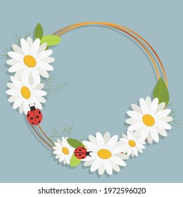 chamomile with a gold frame on a blue background. Vector image