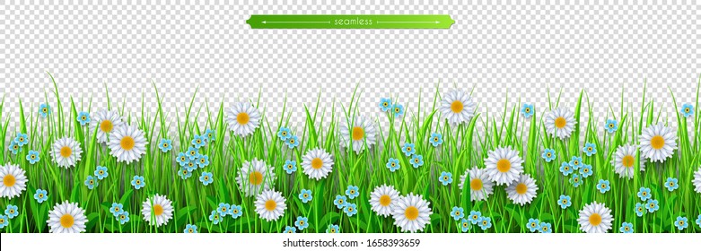 Chamomile green grass daisy seamless border. Easter design isolated on transparent background. Decoration element of summer spring and Flat vector illustration of meadow grass and flowers