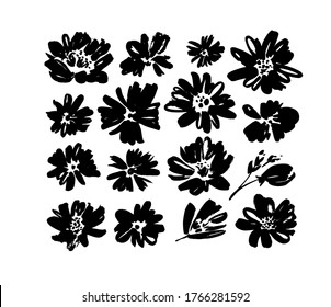 Chamomile hand drawn black paint vector set. Ink drawing flowers and plants, monochrome artistic botanical illustration. Isolated floral elements, daisy, aster, chrysanthemum. Brush strokes silhouette